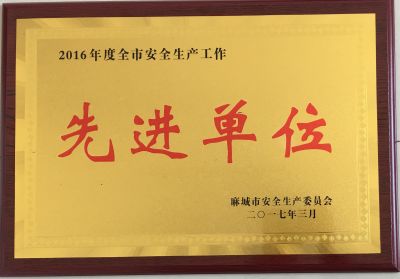 2016年全市安全生產先進單位